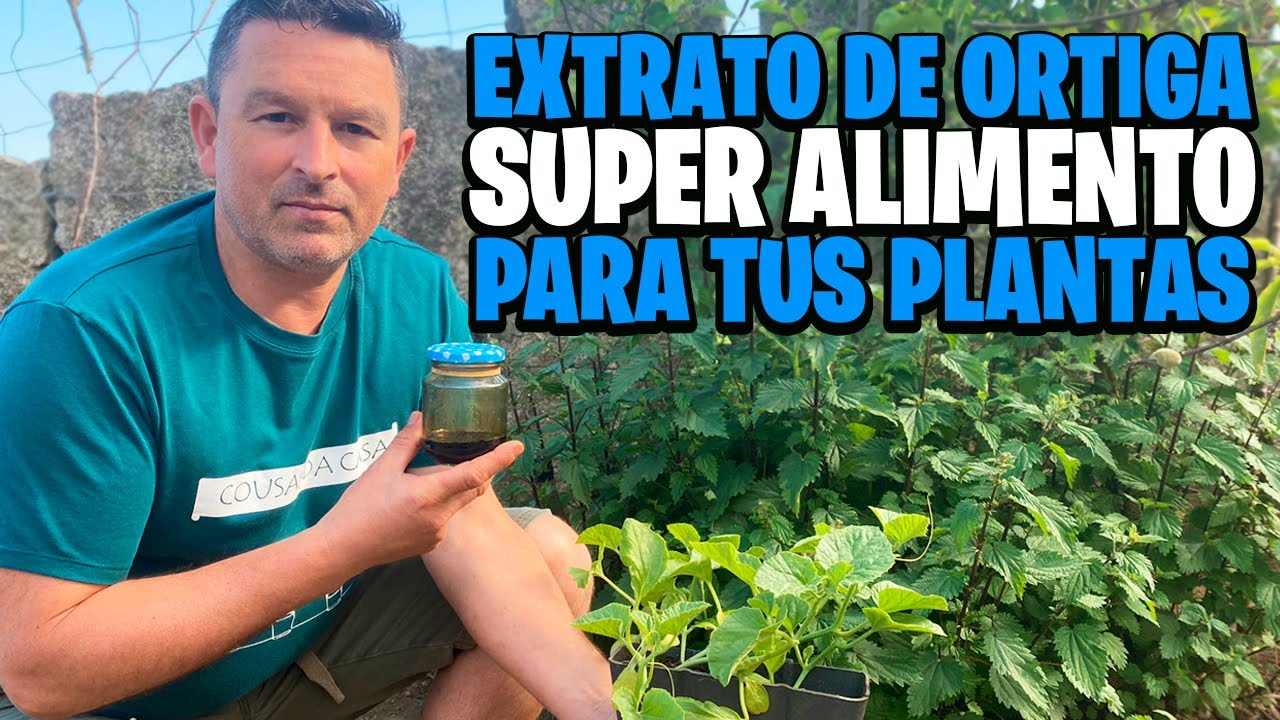 EXTRACTO DE ORTIGA