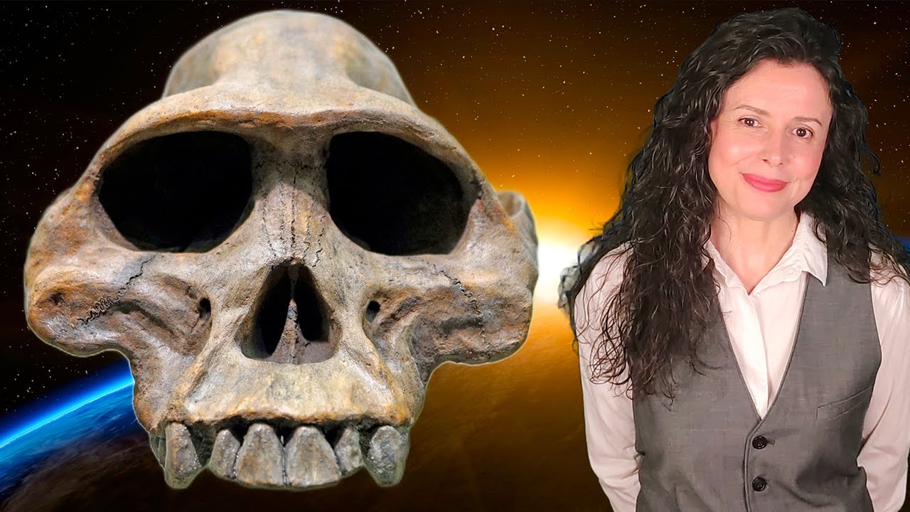 &iquest;De d&oacute;nde venimos? El origen de la humanidad quiz&aacute; te sorprenda
