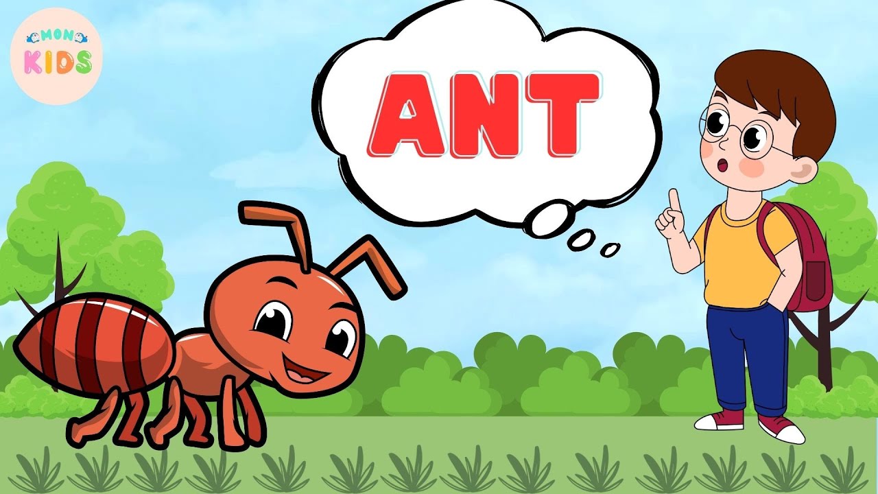 Ant Facts For Kids 🐜 Learn All About Ants | MON Kids