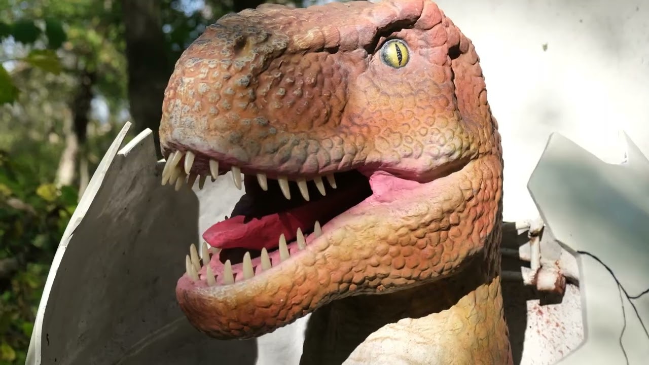 The Bar Stool Preachers 