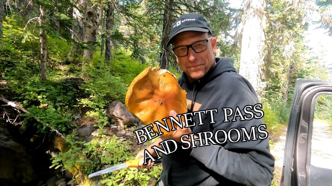 Bennett Pass & Badger Lake: Oregon Adventure!! Got Shrooms?