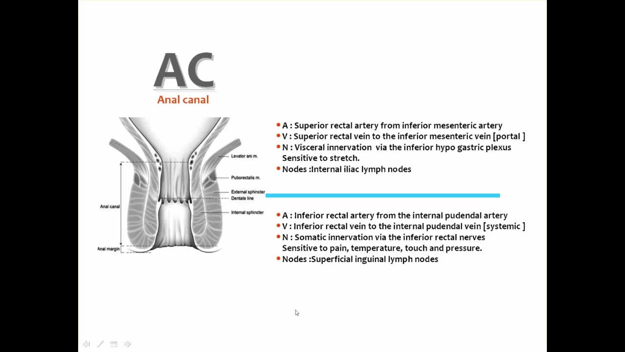 15  Abdominal imaging Perianal fistula Prof  Mamdouh Mahfouz DRE