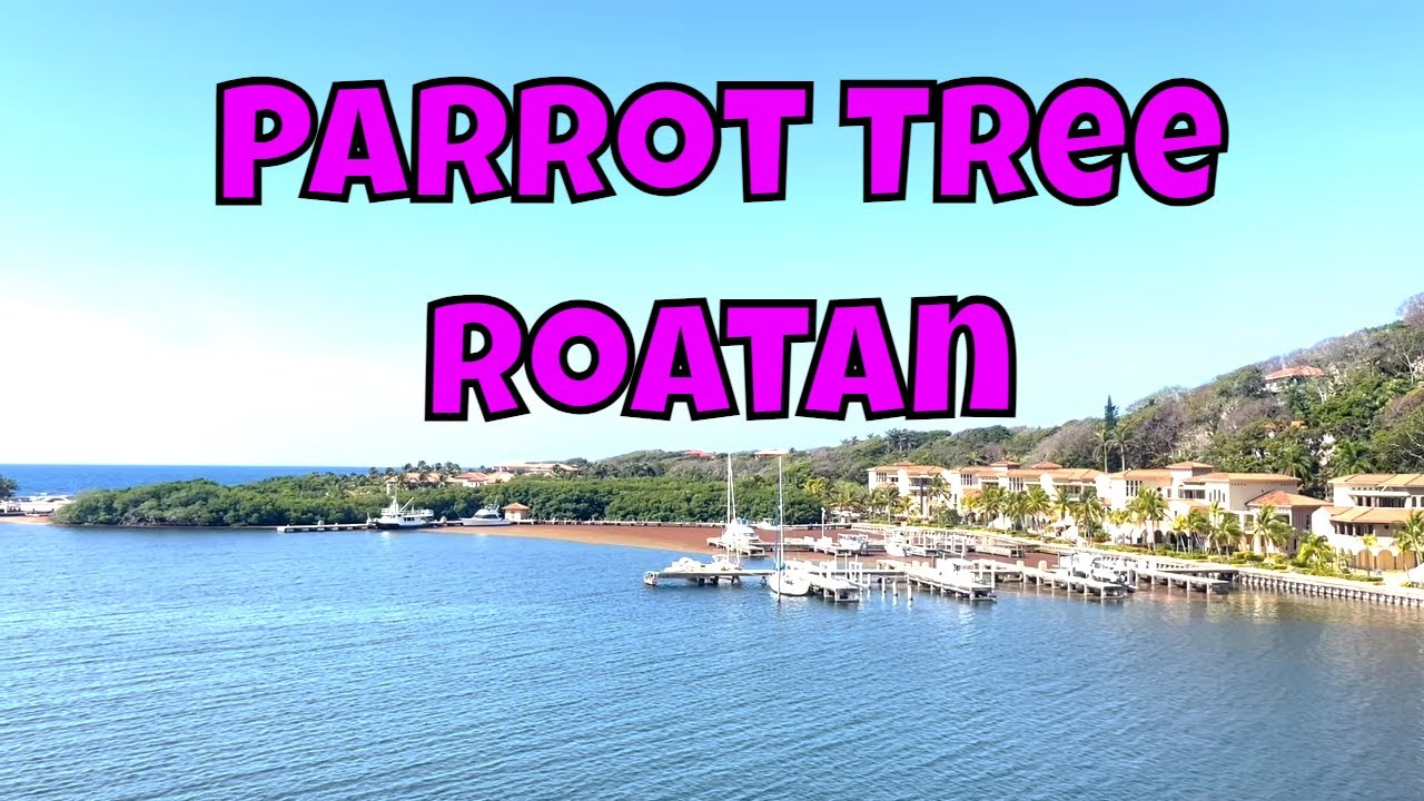 Discover Your Dream Home In Roatan Honduras At Parrot Tree Plantation | Homes For Sale In Roatan