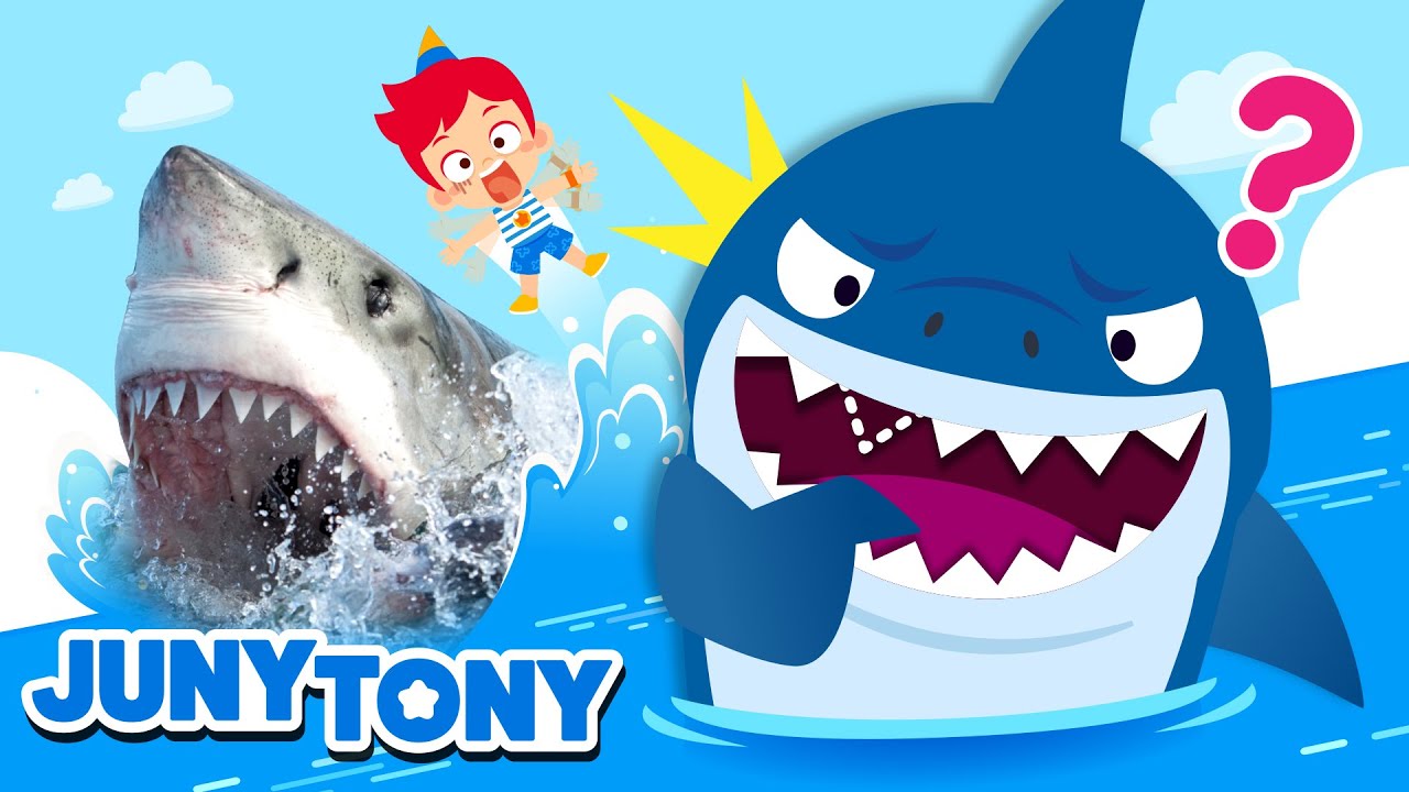 🦈 Tubarões em Ação! | Curiosidades Sobre os Tubarões | Desenho Infantil | JunyTony em Português