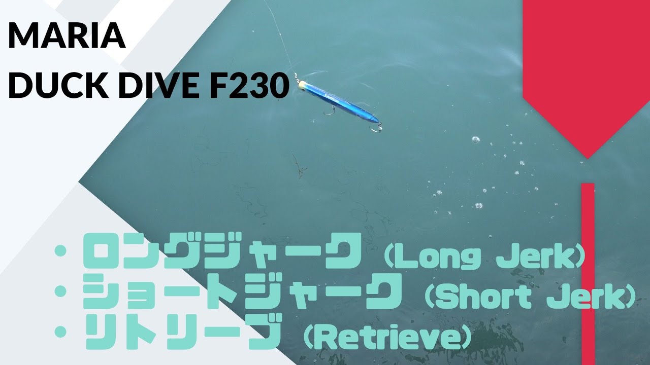 MARIA(マリア) DUCKDIVE(ダックダイブ) F230 評価、泳ぎ方、アクション等！