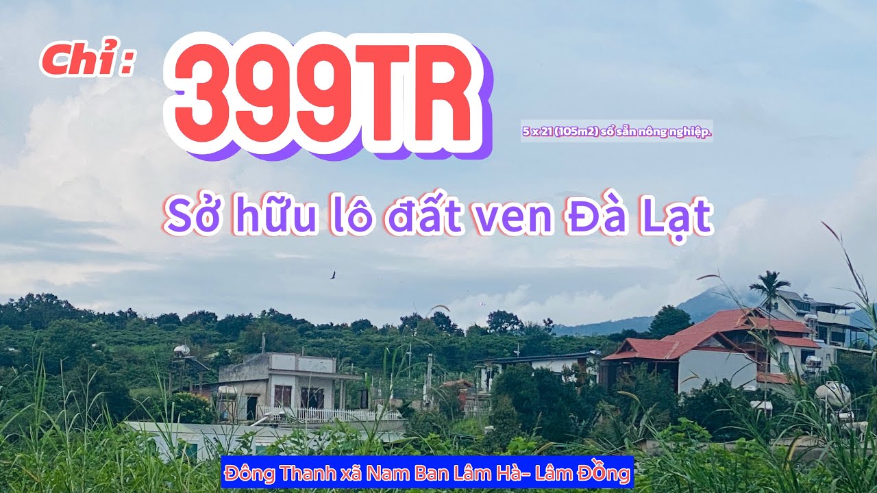 Đất Nam Ban giá rẻ, sổ sẵn, pháp lý rõ ràng – Gần Đà Lạt, đầu tư sinh lời cao