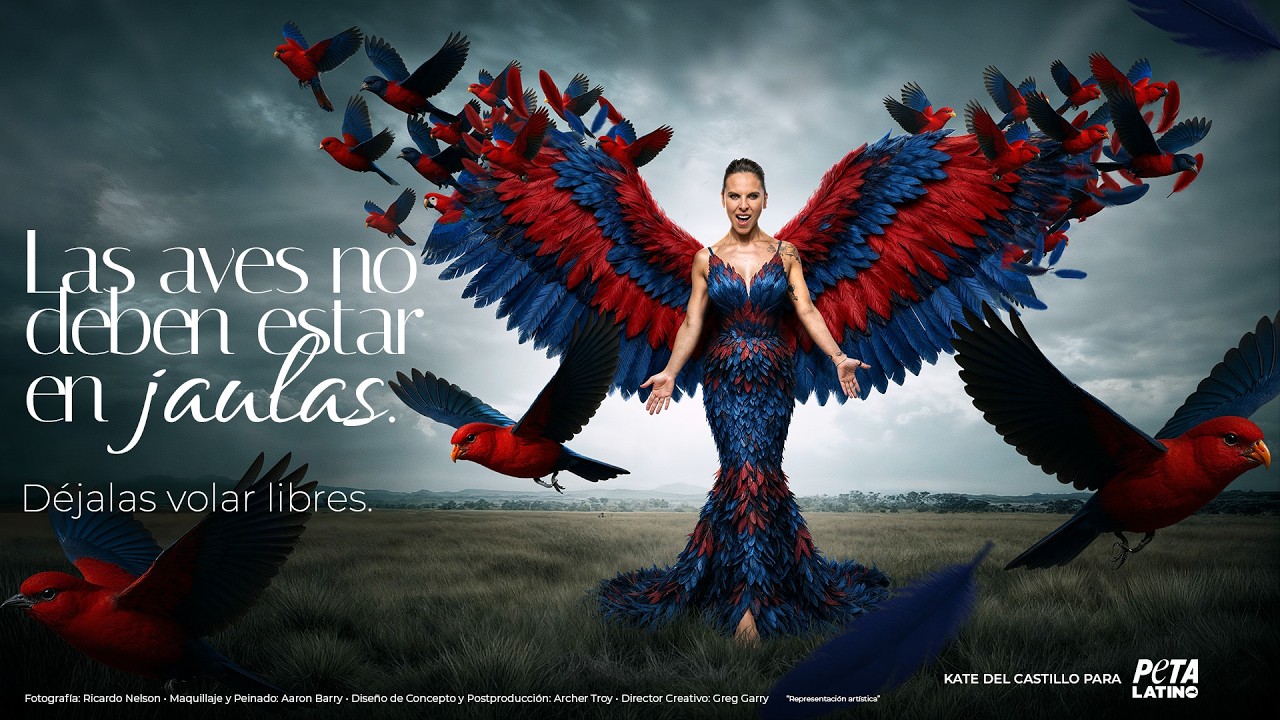 Kate del Castillo: &iexcl;Deja que las aves vuelen libres!  PETA Latino