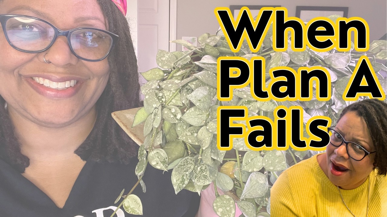Downsizing My Houseplant Collection - I'm Struggling