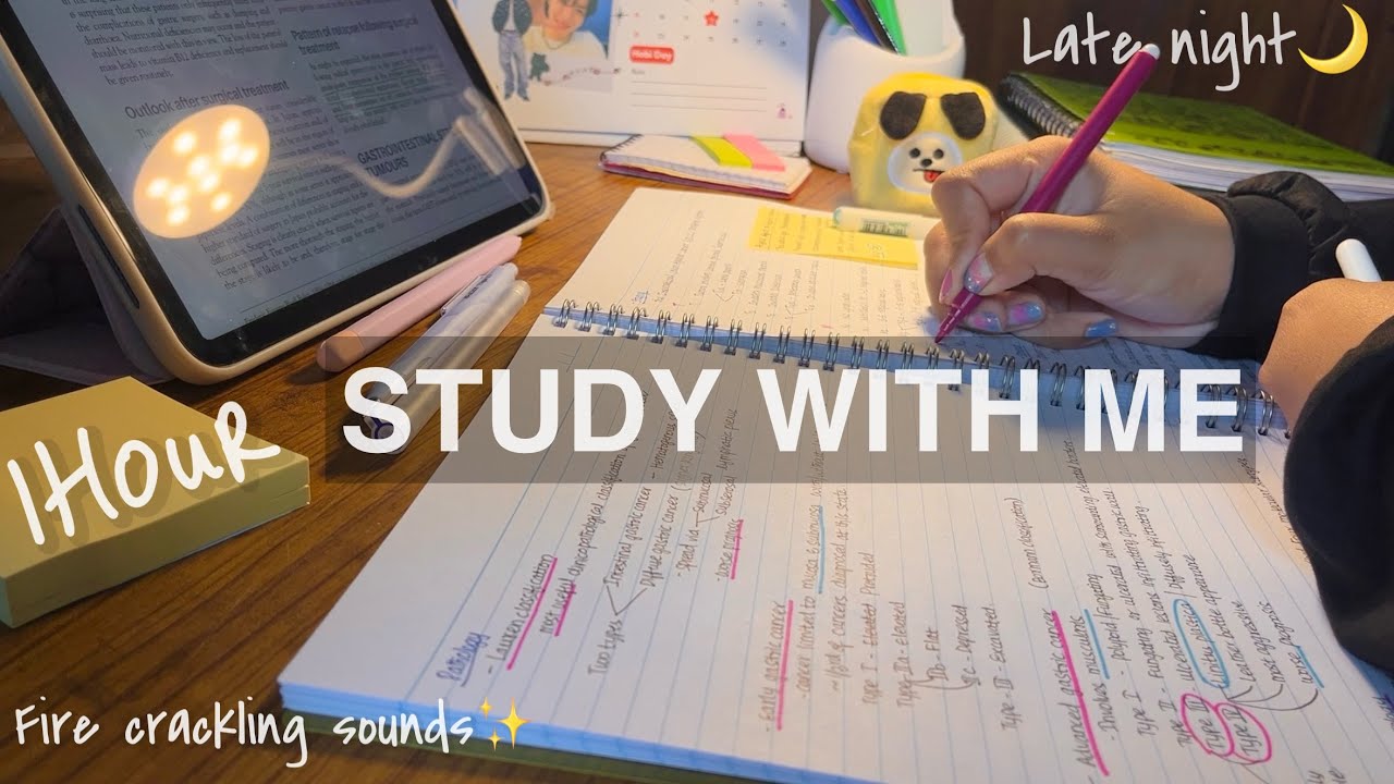 Late Night Study With Me 🌙 | 1 Hour Cozy Fire Crackling Sounds | Real Time Study