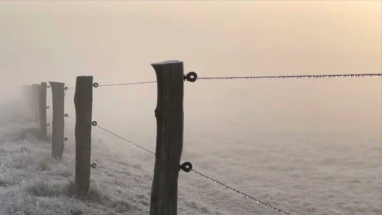 Langeoog 15. Februar 2023