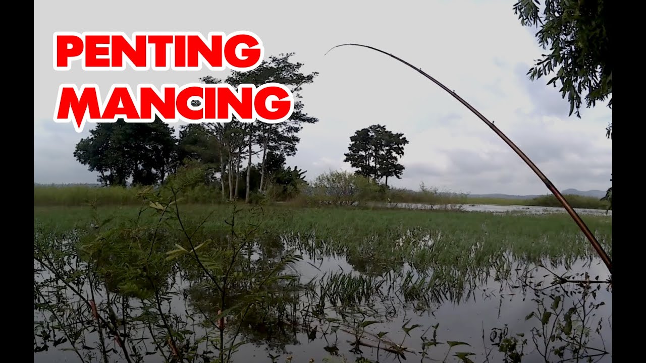 Mancing Pinggiran - Spot Rawa Pening Benjalen