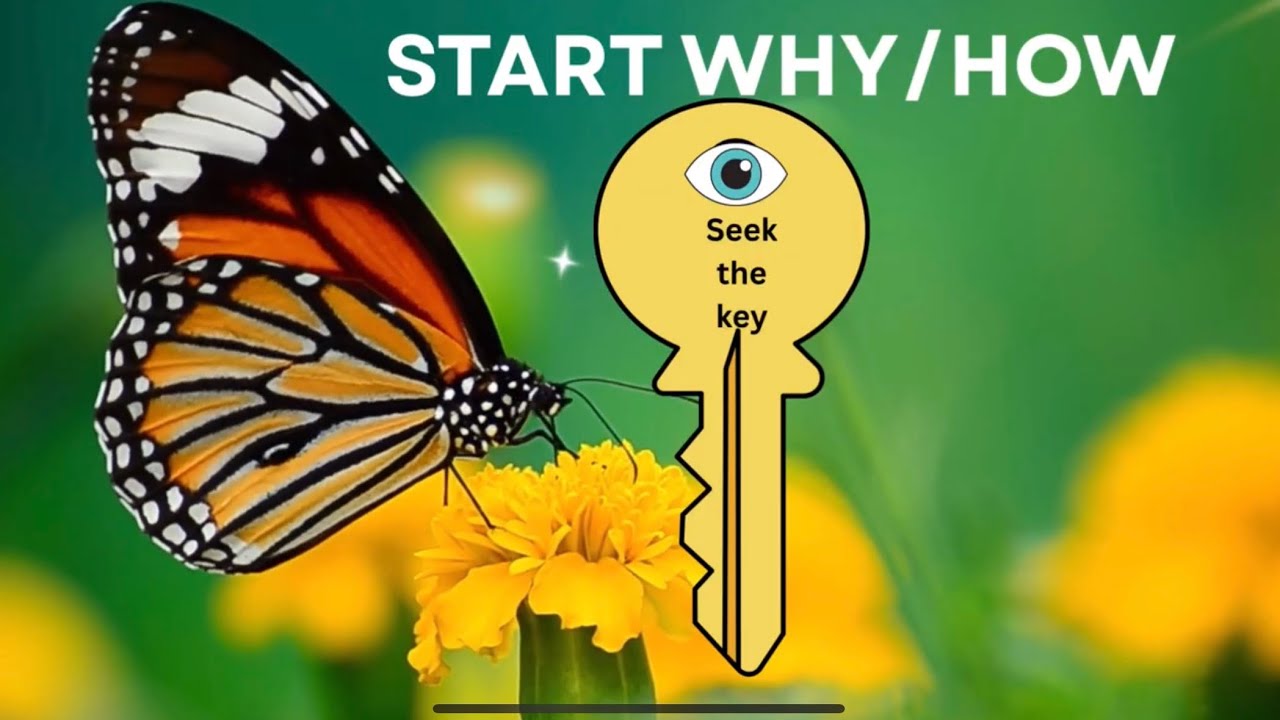 #1 🔑 “Start Why/How” Portal