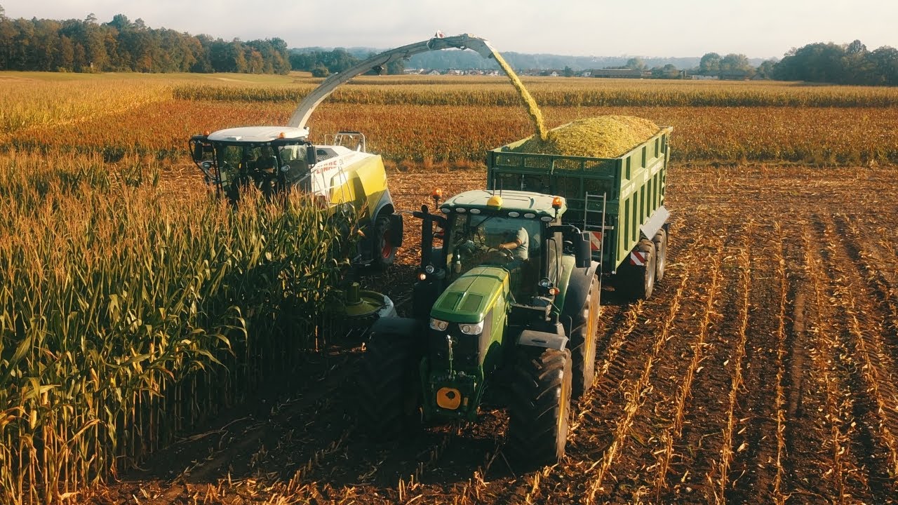 Die erste Maisernte 2024 | Fendt | John Deere | New Holland | Jaguar 960 | Shredelage | *4K*