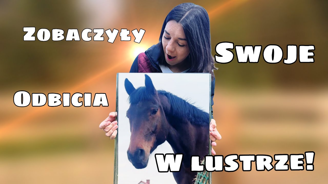 Konie widzą siebie W LUSTRZE! Ich reakcja jest CUDOWNA 🤣🤪 || Vlog ze stajni