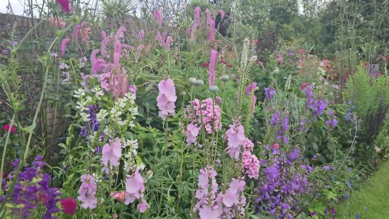 RHSI Partner Garden - Ardán Garden in Howth