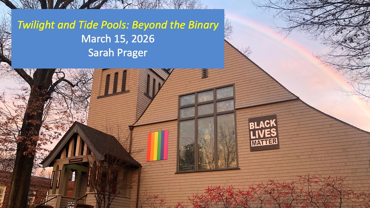 Twilight and the Tide Pools: Beyond the Binary | March 15, 2026