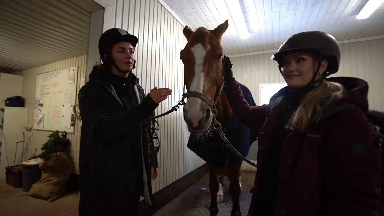 Ekaa kertaa ratsailla ft. Nelli Matula 🐎