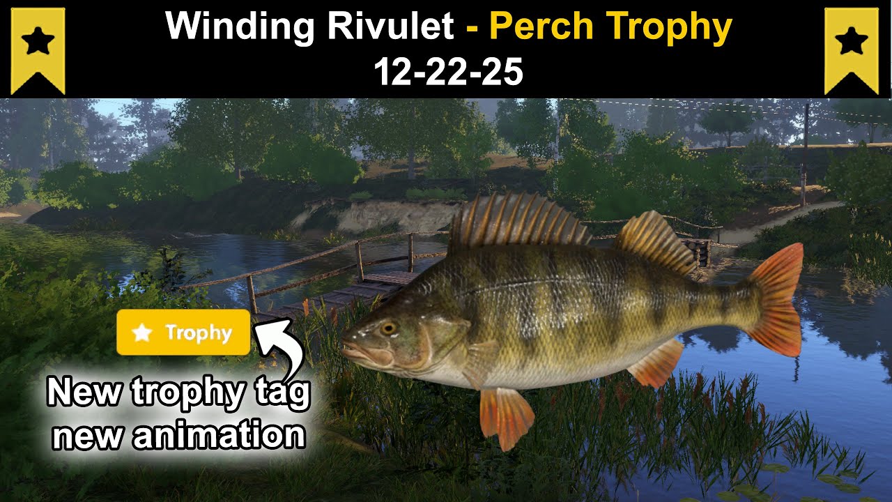 Russian Fishing 4, Winding Rivulet - Perch Trophy 12-22-25
