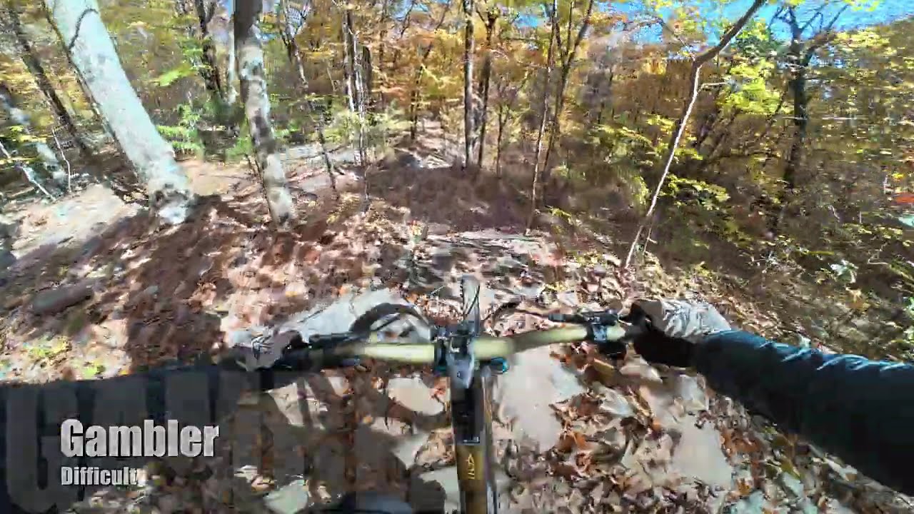 Walden's Ridge - Chattanooga TN