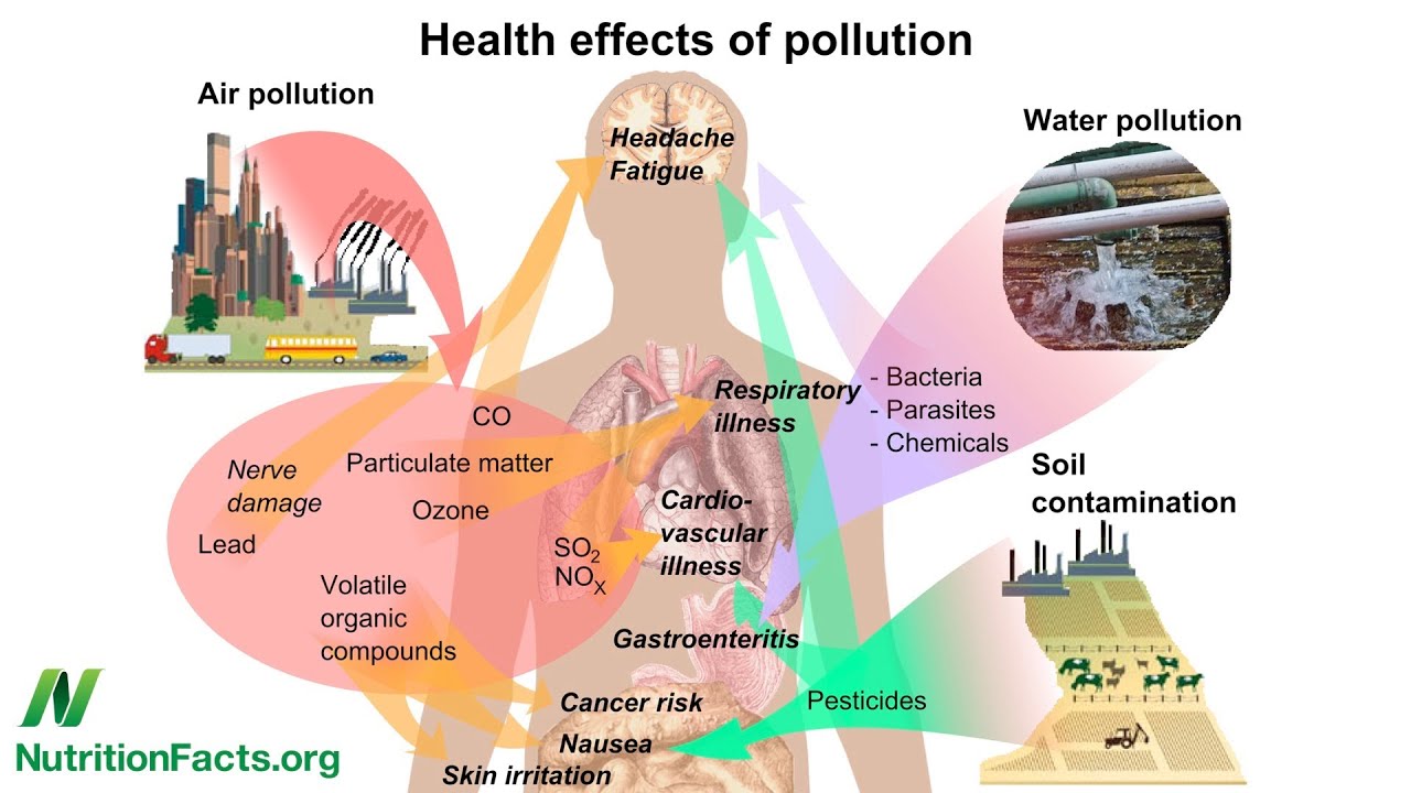 Diabetes and Dioxins