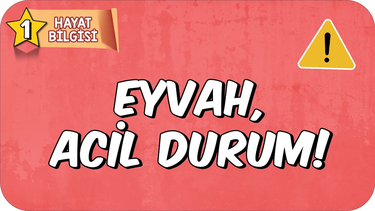 Eyvah, Acil Durum!📕 1.Sınıf Hayat Bilgisi #2025