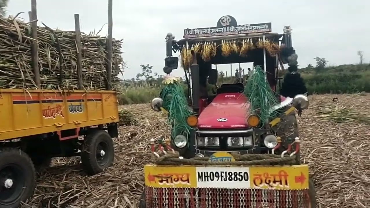 Tractor videos form sugar Factory tractor loading #tractors #tractorlife #mahindra #like #subscribe 