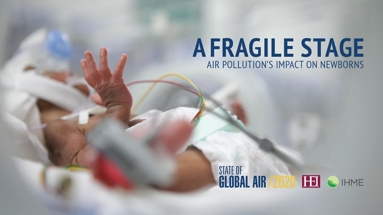 A Fragile Stage: Air Pollution's Impact on Newborns