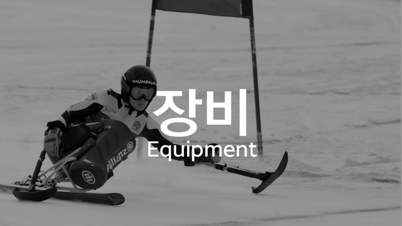 (KOR/ENG) 장애인 알파인 스키(Para Alpine Skiing)를 알아보자