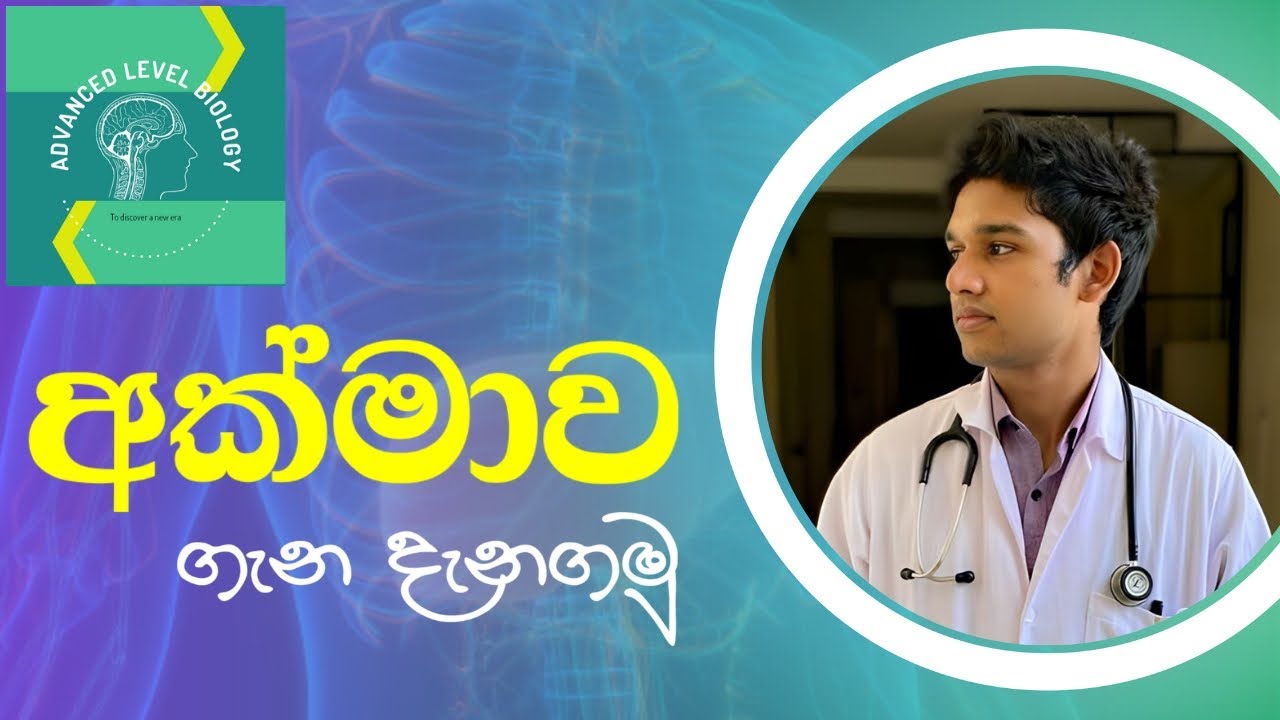 මානව අක්මාවේ ව්‍යුහය | Anatomy of human liver | AL biology 2023