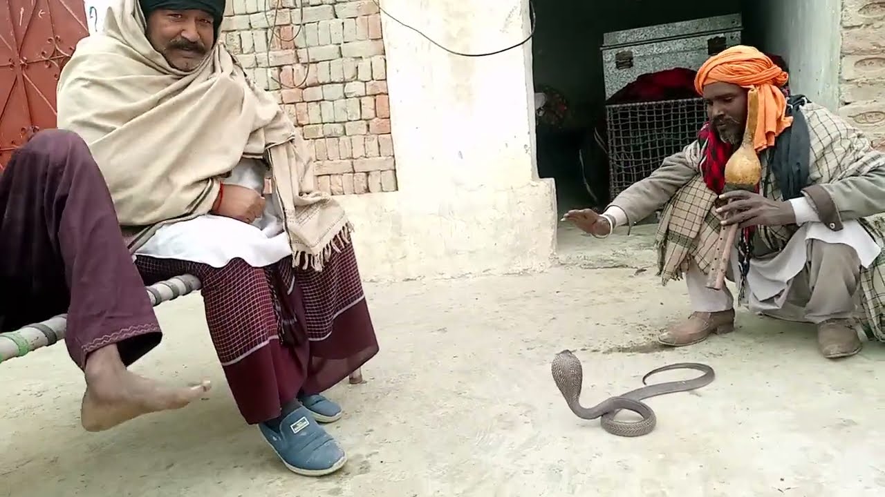 Jogin Sahab Ghar se Ras ko Kiya