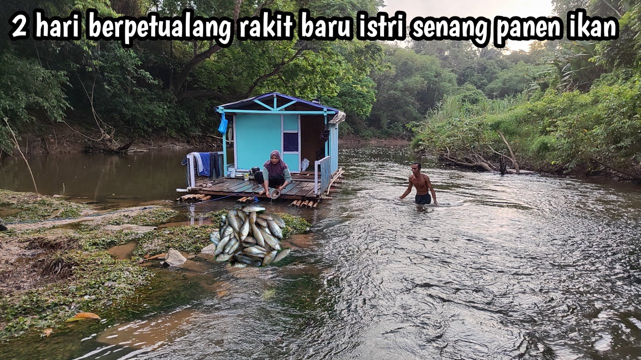 2 hari berpetualang diatas rumah rakit baru istri senang panen ikan melimpah