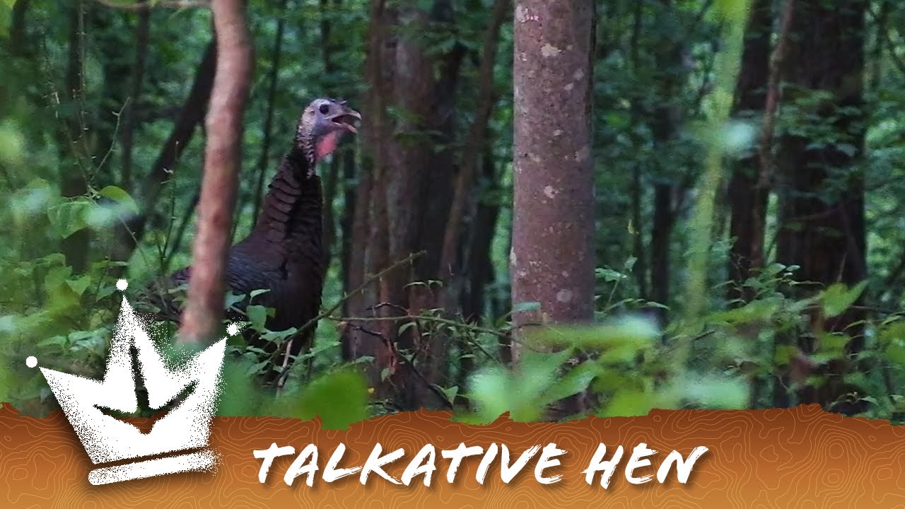 SO YOU WANT TO BE A BETTER CALLER?/REAL HEN TALK/BEST KEE KEES ON YOUTUBE