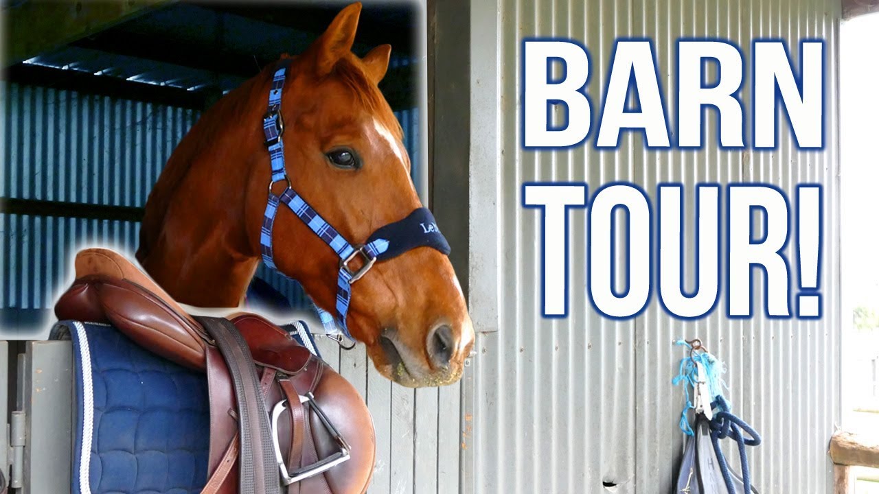 BARN TOUR! | Facilities + tack room organisation