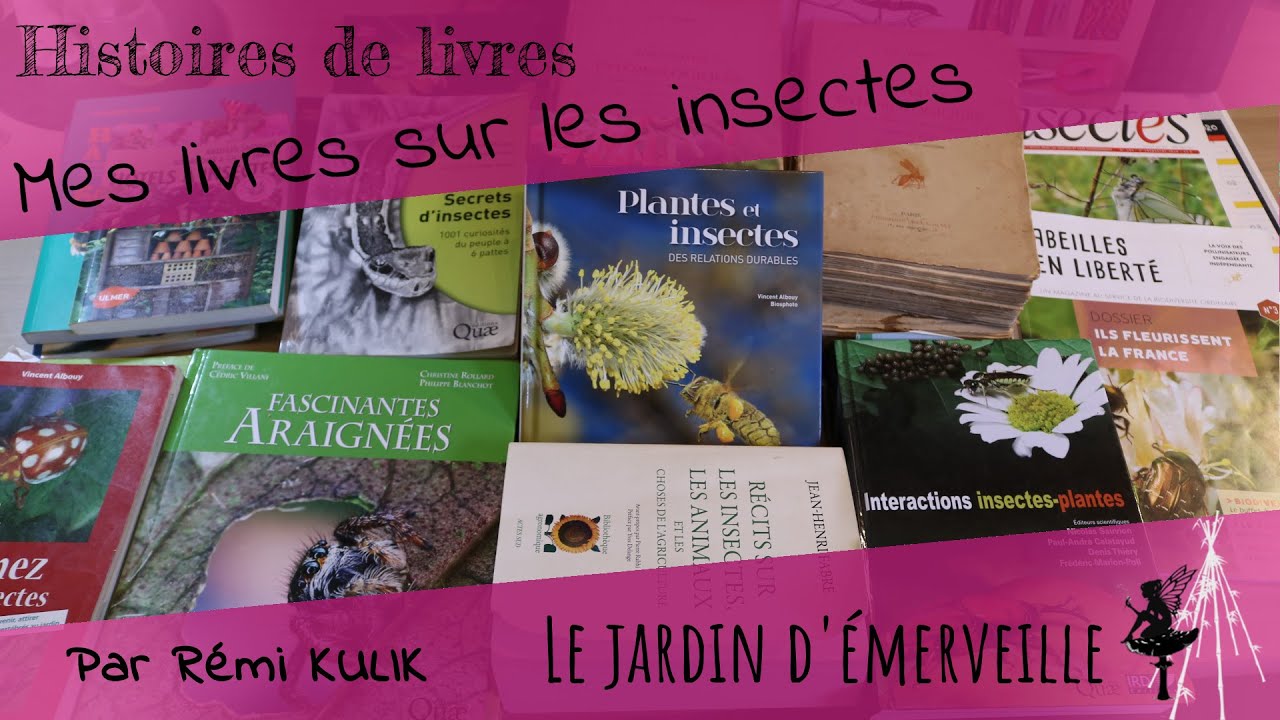 De tout sur les insectes !