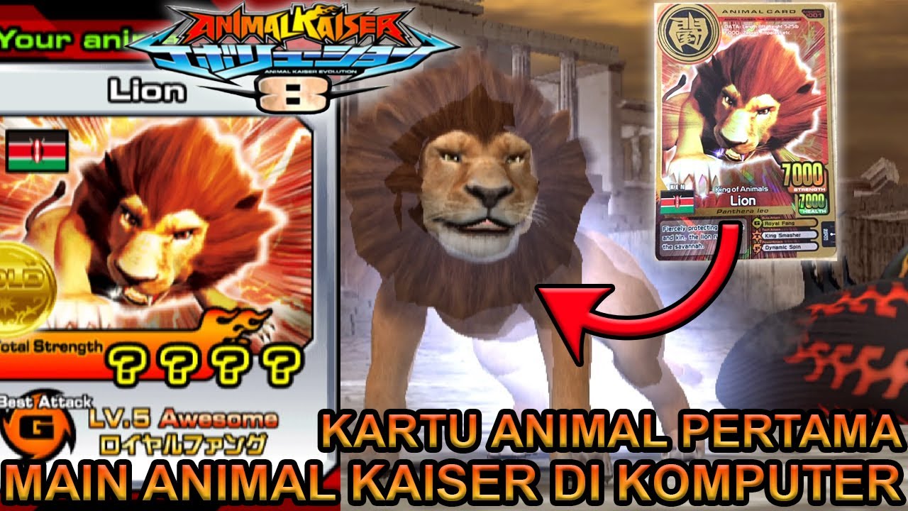 NYOBA LION KARTU AK PERTAMA DI KOMPUTER !!! - ANIMAL KAISER EVOLUTION PC