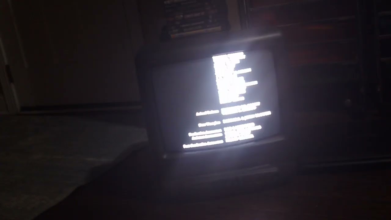 Closing Down To My Dog Skip 2000 VHS
