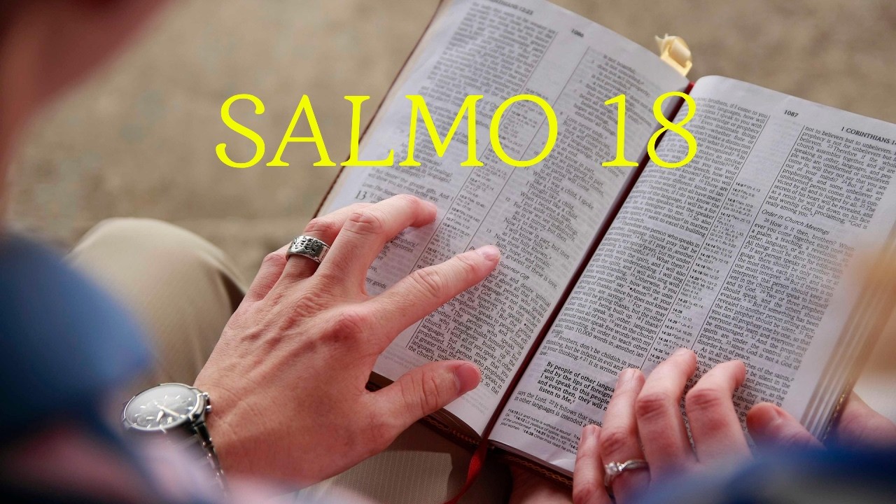 SALMO 18 - Ó Senhor, vossas palavras são espírito e vida! - SALMO CANTADO DO DIA.