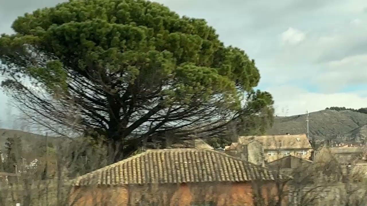 Hoy me voy en Barcelona 