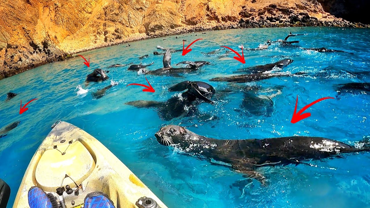 PERIGOSAMENTE PERTO DEMAIS... VIVENDO O EXTRAORDIN&Aacute;RIO NA ILHA MAIS LEND&Aacute;RIA DO PLANETA!!! Pescaria.