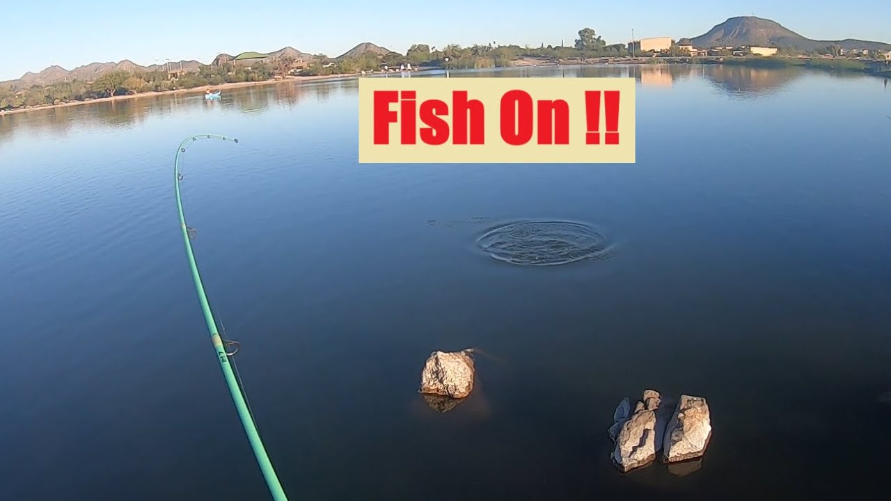 Рыбалка на окуня в городских прудах (Тусон, Аризона)