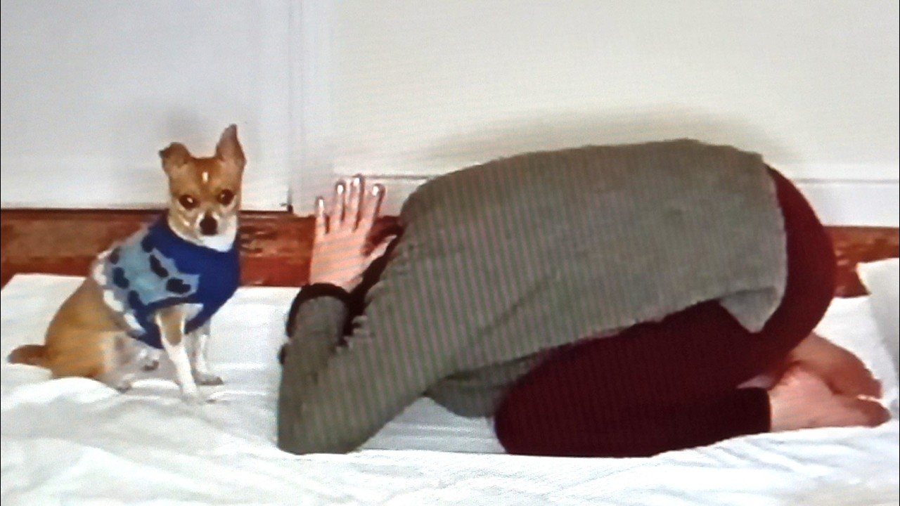 15-Minute Bedtime Yoga for Better Sleep (Video 25)