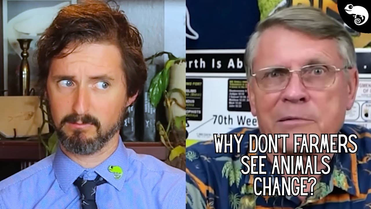 Эволюционный биолог реагирует на аргументы креационистов.