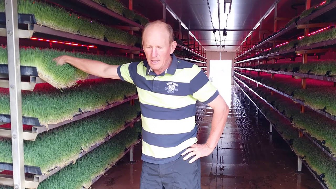 The Fodder Shed at Wallangra NSW