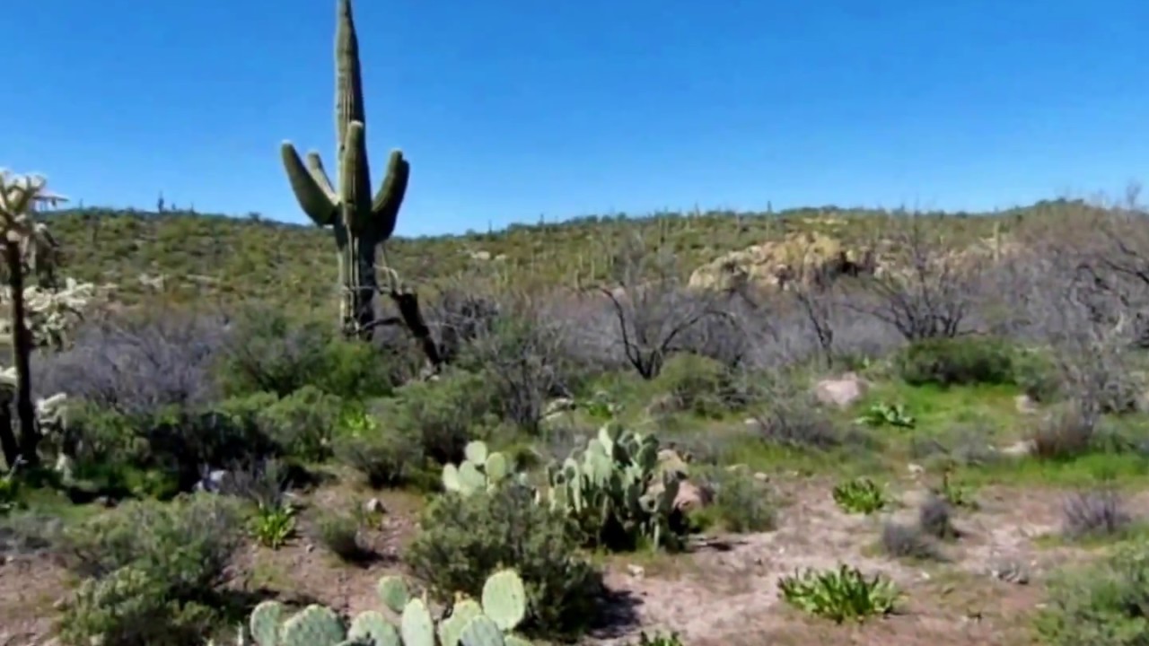 Hackberry Spring Loop - First Water Creek, Superstition Mountains 2013