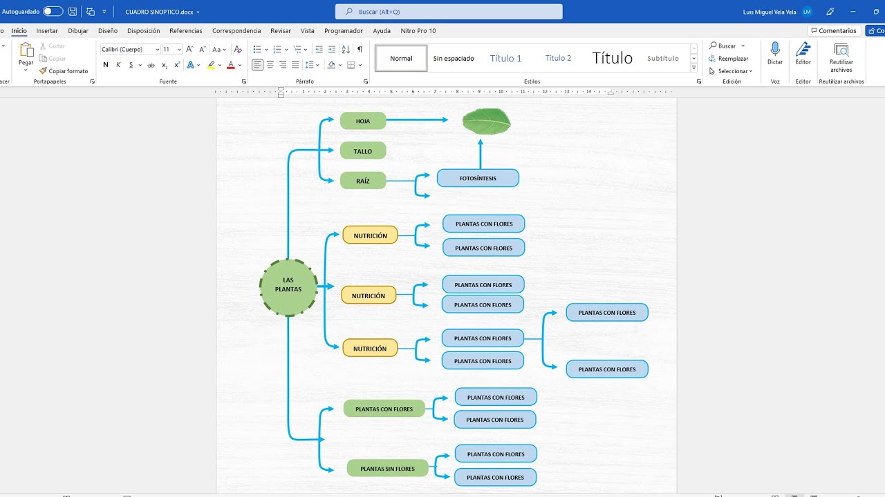 Como hacer un cuadro sinóptico en WORD 2021