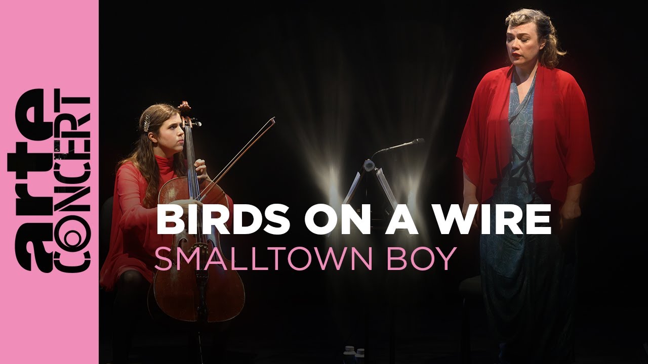 Birds on a Wire - Smalltown Boy - Mus&eacute;e du Louvre &ndash; ARTE Concert