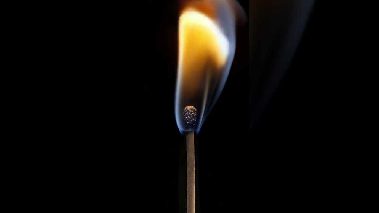 Free Fire Flame Background Video #video #fire #background #stockvideo #aesthetic #motiongraphics