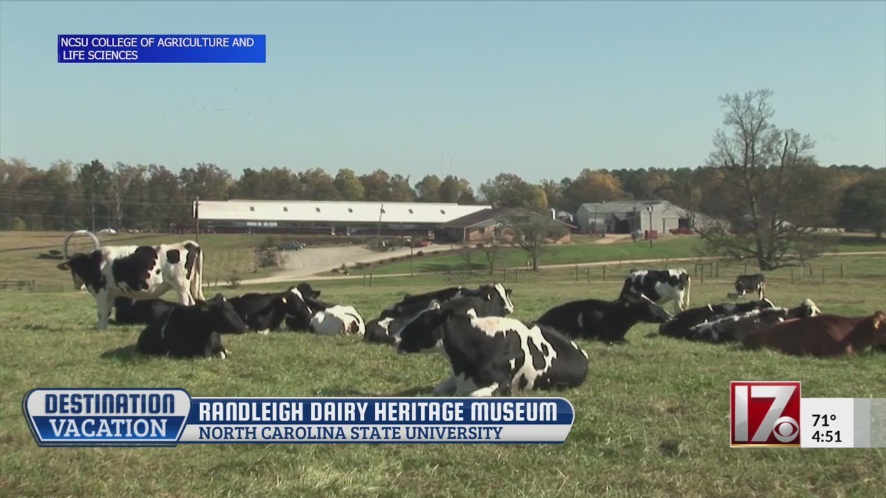 Destination Vacation: NC State's Randleigh Dairy Heritage Museum