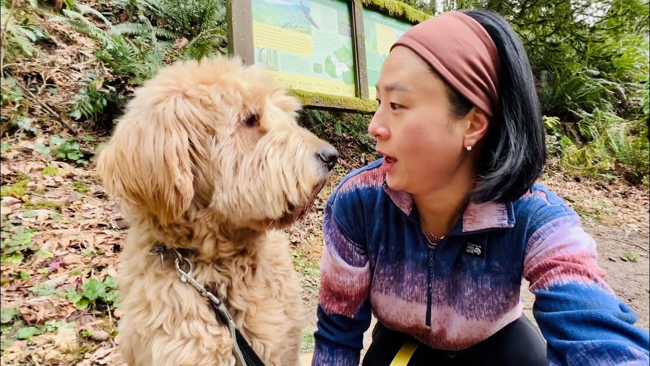 강아지와 달리며 비우는 시간🐕 | 포틀랜드 트레일 러닝 루틴