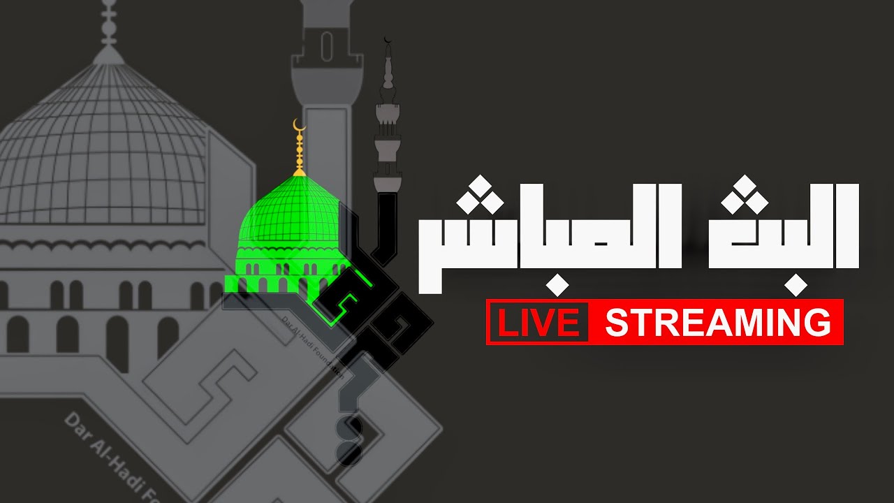 علي صفاء زيارة الرسول الاكرم  (ص)